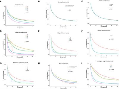 Development and Validation of Nomogram for Predicting Survival of Primary Liver Cancers Using Machine Learning